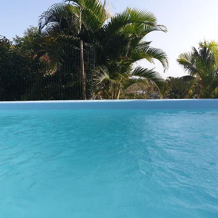 Le Goyav' Appart Avec Piscine Et Jacuzzi Au Vauclin Daire Le Vauclin Dış mekan fotoğraf